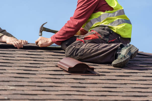 Best Roof Inspection Near Me  in Silver Grove, KY