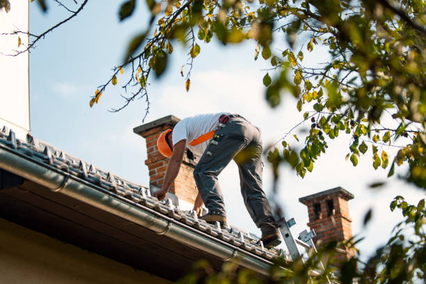 Best Emergency Roof Repair  in Silver Grove, KY