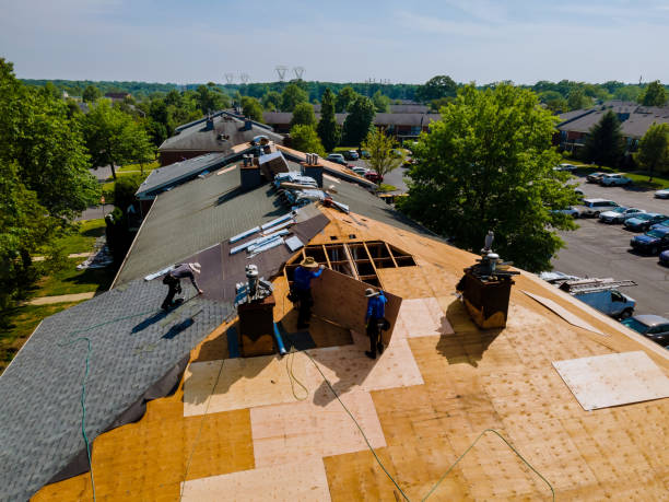 Best Storm Damage Roof Repair  in Silver Grove, KY