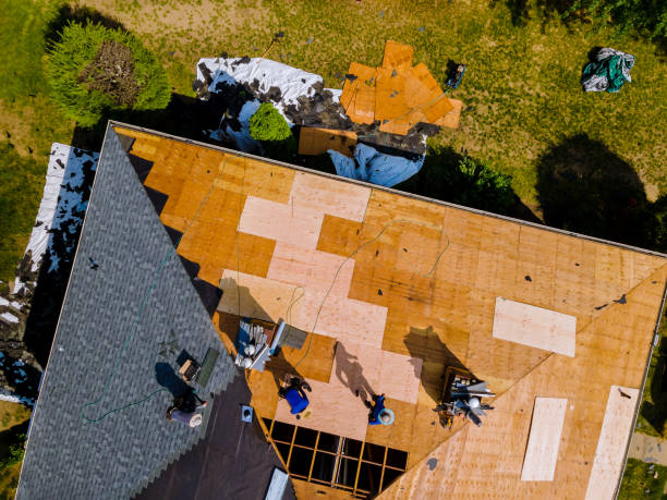 Best Shingle Roofing Installation  in Silver Grove, KY