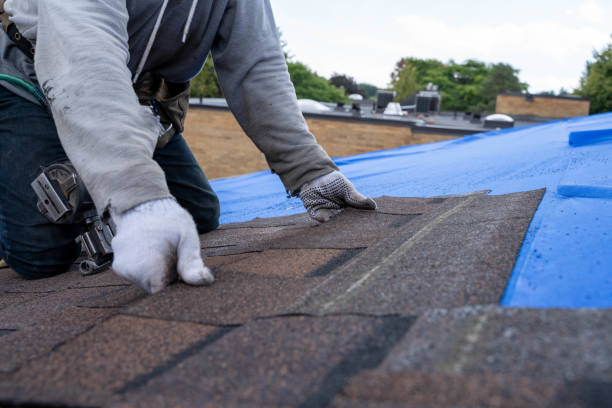 Best Roof Replacement Cost  in Silver Grove, KY