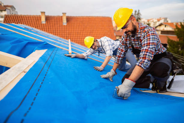 Best Best Roofing Contractors  in Silver Grove, KY